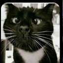 ���� ���������, ����������� - ��������� 27 ������� 2021 � ������ ���� ����������