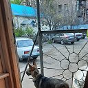 ���� ��������, ���������, 58 ��� - ��������� 9 ��� 2021