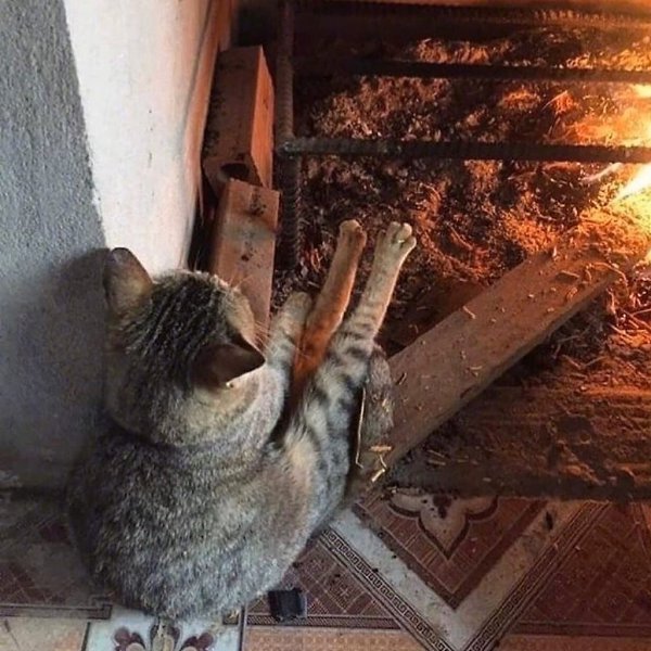 � ������ ���� ���� �������, ������� ����� � ������. ������� � ��� ����� �����? - 2