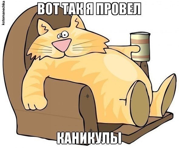    - 6  2021  08:13