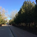 ���� �����, ������, 68 ��� - ��������� 27 ������ 2021 � ������ ���������, �����. ������ 2021.�