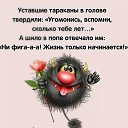 ���� �������, ������, 51 ��� - ��������� 14 ���� 2021