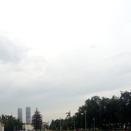 �������, ������, 56 ���