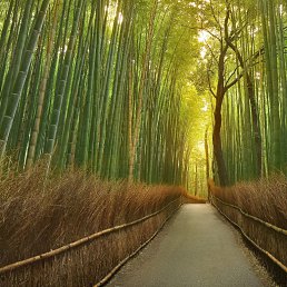 ���� �������, ����������, 46 ��� - ��������� 3 ������� 2021