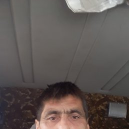 , 52 , 