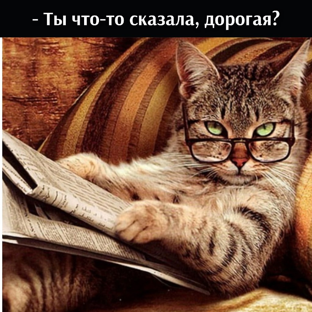 ��� ��������� �� ������: