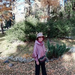 ���� ��������, �����������, 72 ���� - ��������� 22 ������� 2021