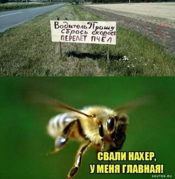 �� ����� ������! - 20 ������ 2021 � 07:29