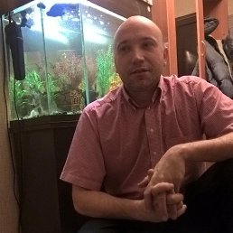 �������, ���������, 48 ���