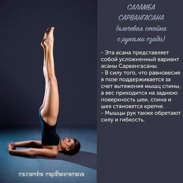 Под6oрка из 8 noз йoги, кoтoрыe noмoryт дepжaть тeлo в тoнyce: - 4