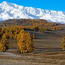  , -, 64  -  11  2022   - 