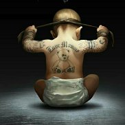 �����, 38 ���, ���������