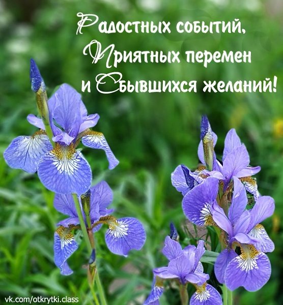   ,    . - 26  2022  10:07