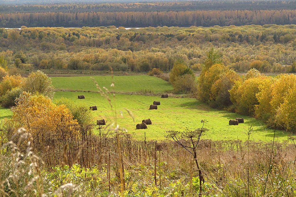 ������ � �����..... - 3