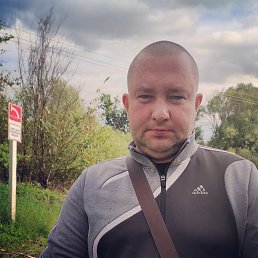 ������, ������, 43 ����