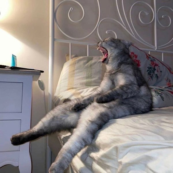�: *������ ��������� �� 06:30*.���������: *����� ���� � 06:30*�: