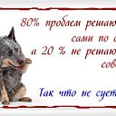 ���� ����, ������, 54 ���� - ��������� 4 ������� 2021 � ������ ������ ��������