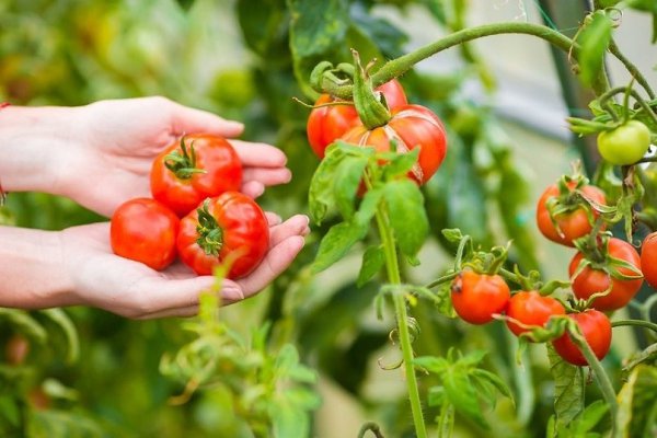 ÅÑËÈ ËÈÑÒÜß ÍÀ ÏÎÌÈÄÎÐÀÕ ÍÀ×ÀËÈ ÑÊÐÓ×ÈÂÀÒÜÑß.Ñoxpaíèòe ê ceáe ía còeíy, ÷òoáû íe ïoòepÿòü!Ïpè÷èí ...