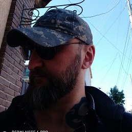 ������, ���������, 46 ���