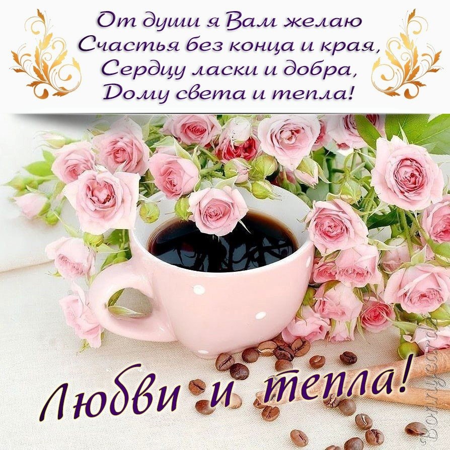   ,    . - 29  2021  13:53 - 7