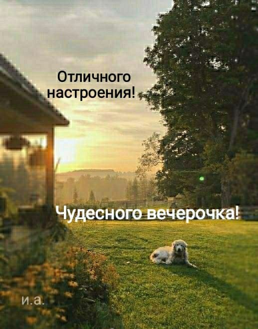  ,    . - 13  2021  15:26 - 4