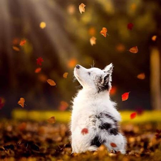 ������ ������ �� ������ ���� �������.������� ����, ����� ������� ����.�, �������, ��� �� �������� ...