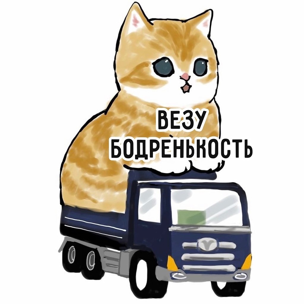 #�������@bon