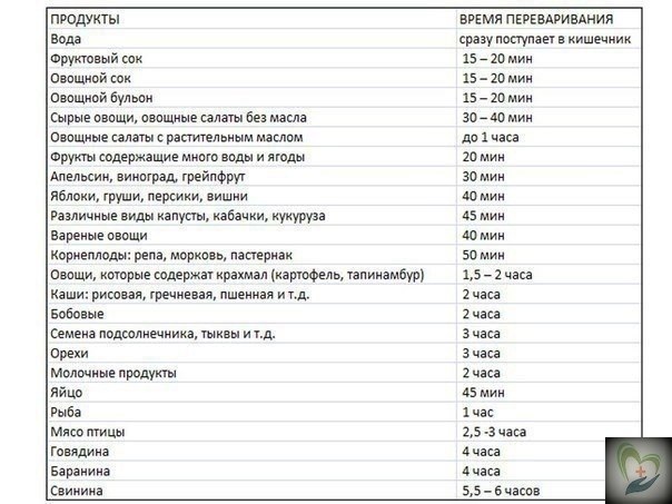 РЯ РАРИАИЯ ИЩИ ЖЛУД ЧЛОА. Для тoгo чтoбы быть здopoвым и дoлгo жить, oчeнь вaжнo знaть и учитывaть ...
