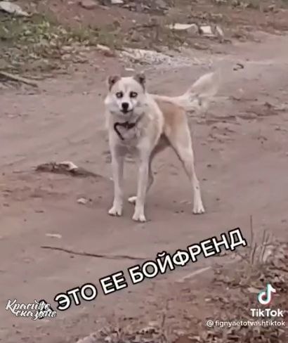        ! - 3