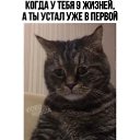 ���� ����, ������, 38 ��� - ��������� 30 ������ 2022