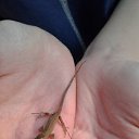 ���� �����, �������, 67 ��� - ��������� 15 ������ 2022 � ������ ���� ��������