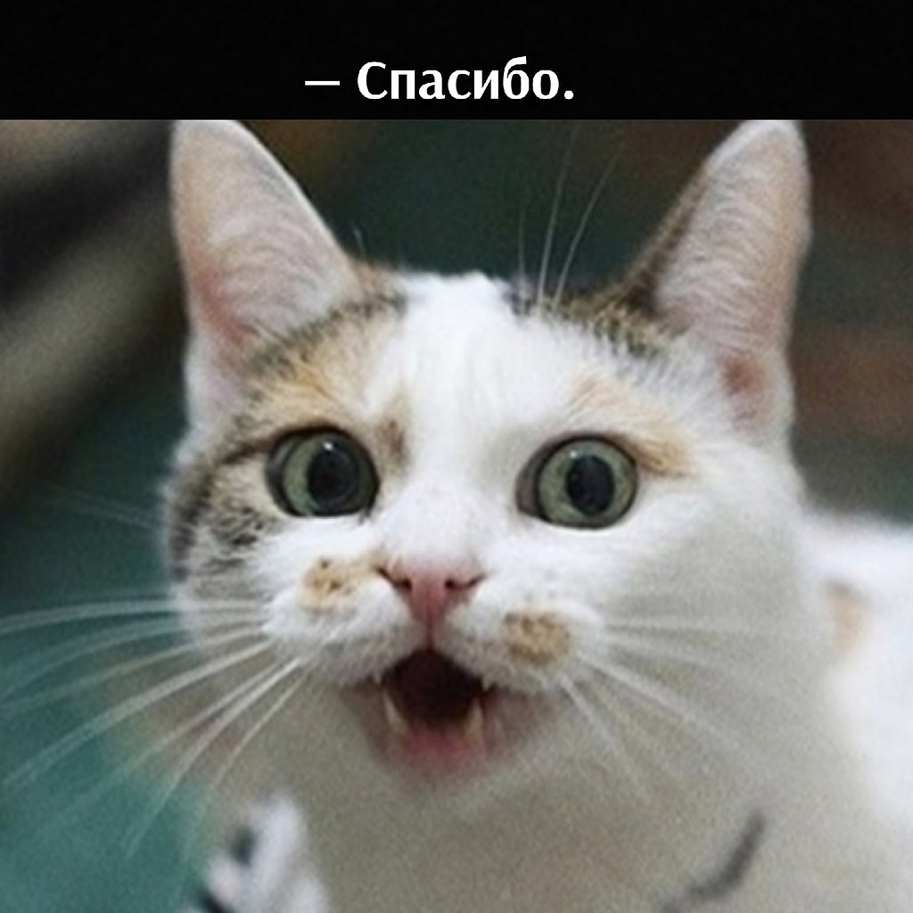       - 9  2021  18:04 - 2