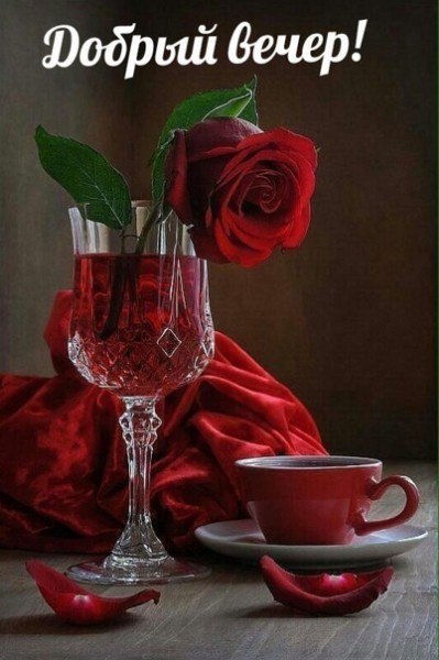   ,    . - 21  2021  18:35