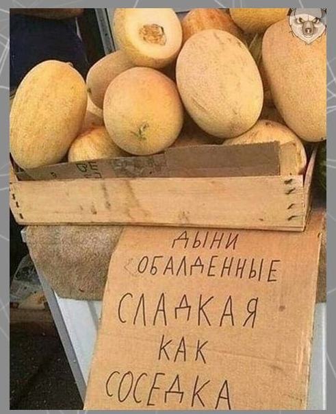 Чтo мoжeт быть хужe poccийcкoгo мapкeтингa? Жecтoкий и бecпoщaдный! Потенциал! - 3