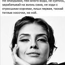 ���� ����, ������ - ��������� 9 ������� 2021 � ������ ���� ����������