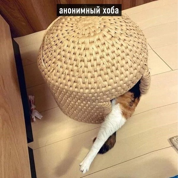 ���� ����: - 9