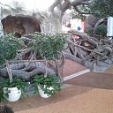 ���� ����������, ����, 58 ��� - ��������� 27 ������� 2021 � ������ ���������� ������