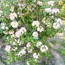 ���� ����, �����-���������, 68 ��� - ��������� 9 ���� 2021 � ������ ����� 2021�