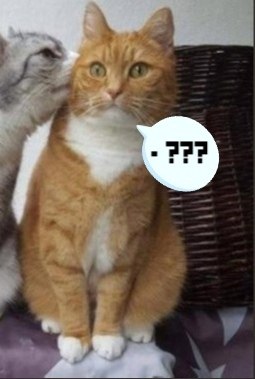       - 19  2021  20:32 - 3