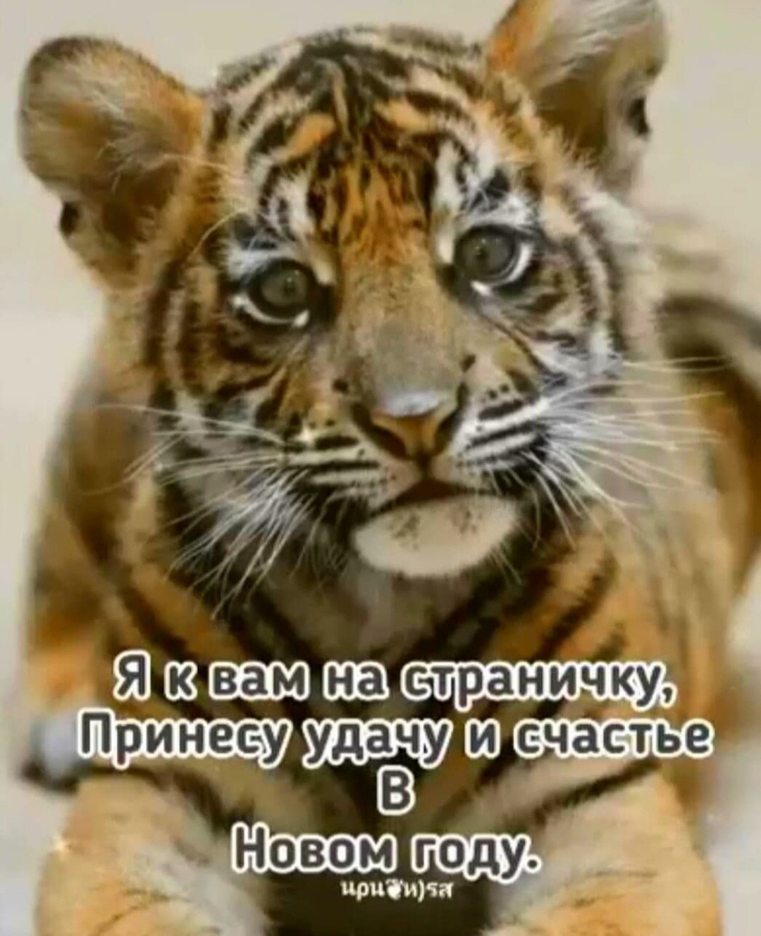 *T* - 6  2022  12:09