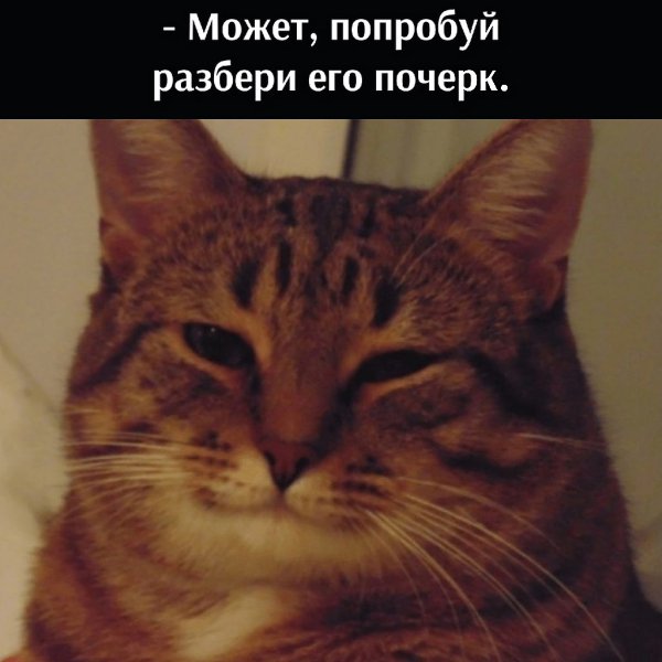 ��� ���� � ����� �� �� - 21 ������� 2021 � 16:02 - 3