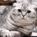  Elena....,  -  13  2021    