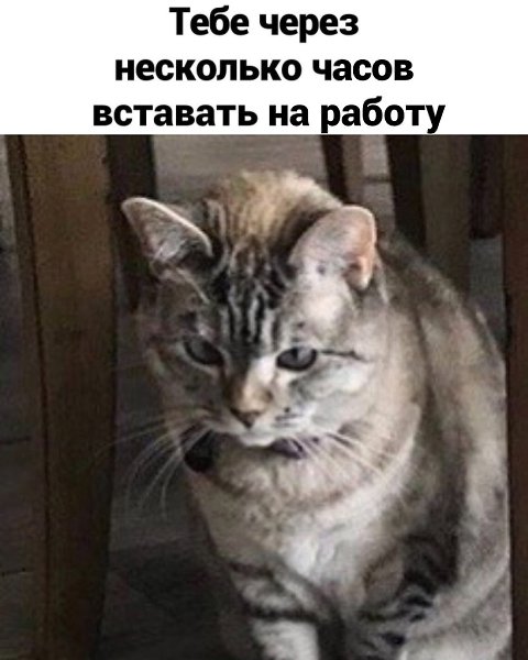 ������� ����� � ��� ���� ����.������� - 2