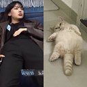 ���� ����(�����), ���-�������� - ��������� 13 �������� 2021 � ������ ����� �� ����