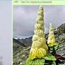 ���� ���������, ����������� - ��������� 29 ���� 2021 � ������ ������ ��������