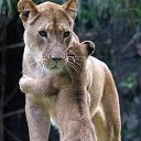 ..�� ������ ������... �� ������� ���� ����������