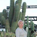 ��������, CA.USA 2019 �� ������� ���� ����������