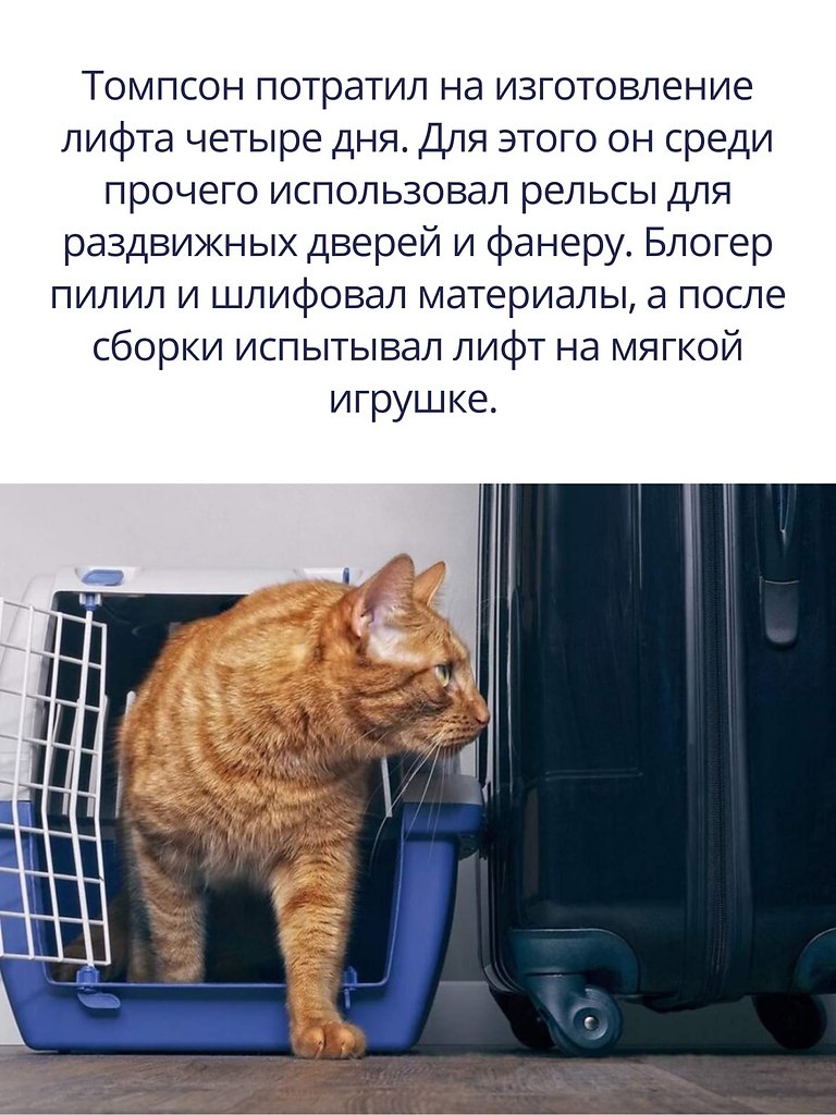   . - 3