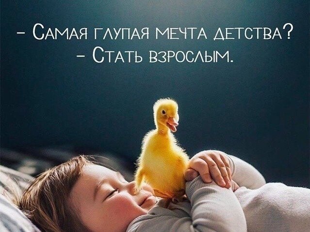  ,  .© - 31  2021  09:56