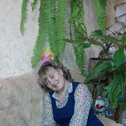 ����, , �����